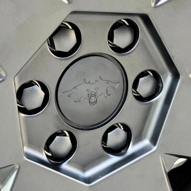 Center Caps & Lug Nut Caps