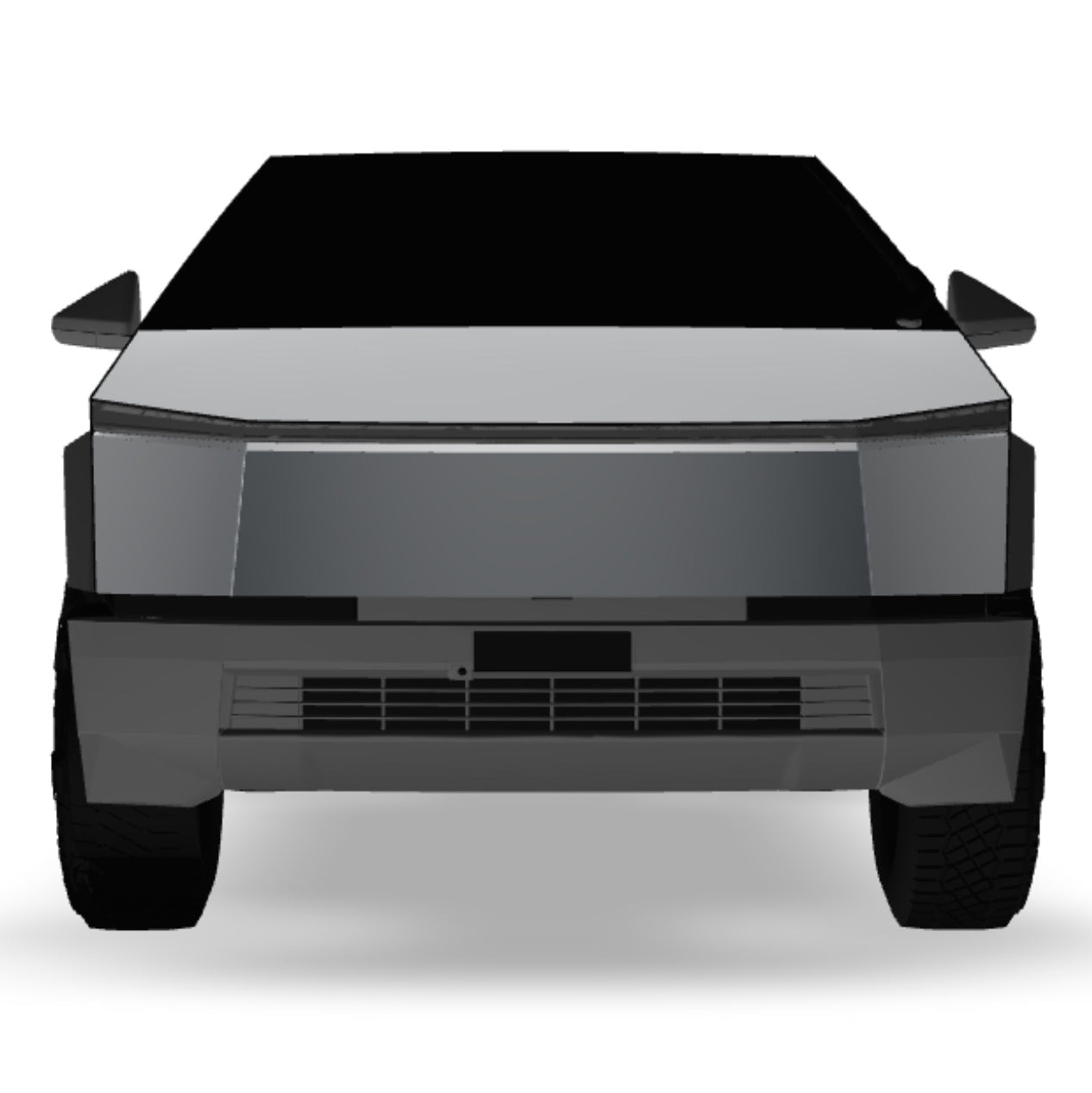 Front Protector (Reusable & Magnetic)