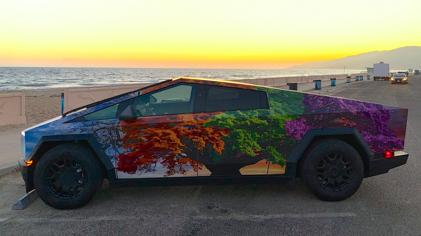 Themed Magnetic Wraps