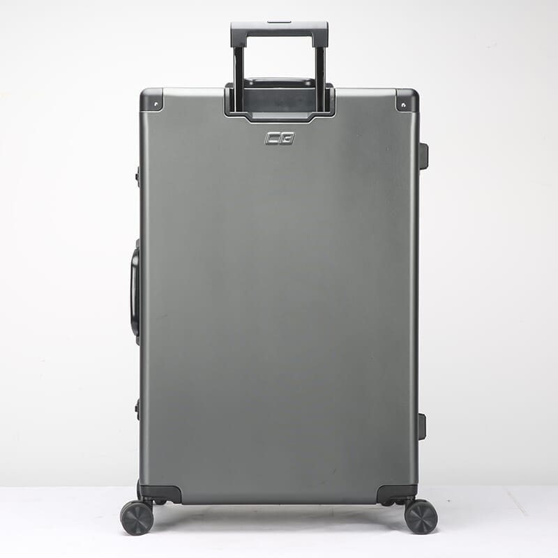 Check-In Luggage (94L)