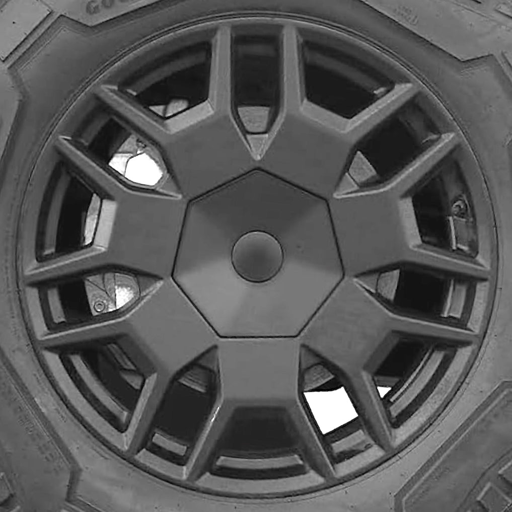 Wheel Center Covers (ABS)